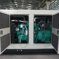 購入 安定した性能を持つ産業用発電機セット online manufacture